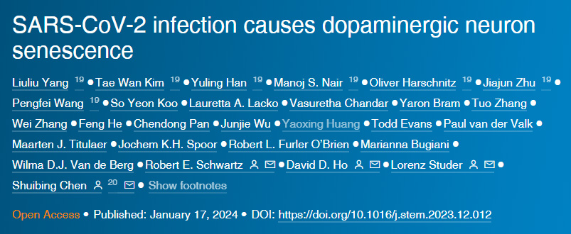 可溶性多價(jià)Jag1DNA折疊納米模板在沒(méi)有外力作用下激活細(xì)胞受體Notc