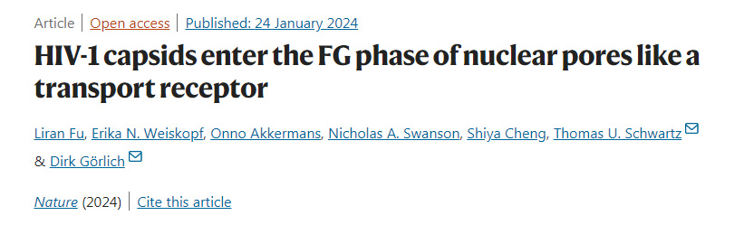 HIV-1的衣殼像細(xì)胞的貨物受體一樣進(jìn)入細(xì)胞核 HIV-1的衣殼像細(xì)胞的貨物受體一樣進(jìn)入細(xì)胞核