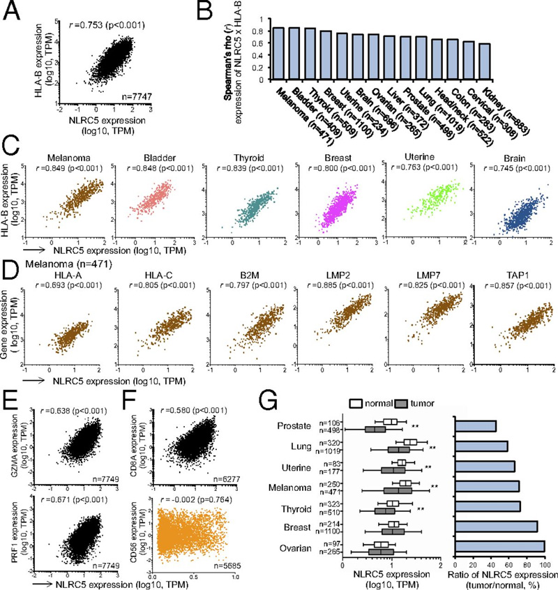 NLRC5和MHC I類基因表達(dá)與人類癌癥相關(guān) NLRC5和MHC I類基因表達(dá)與人類癌癥相關(guān)
