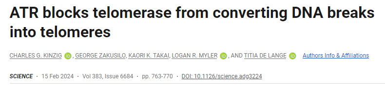 ATR阻止端粒酶將DNA斷裂轉化為端粒 ATR阻止端粒酶將DNA斷裂轉化為端粒
