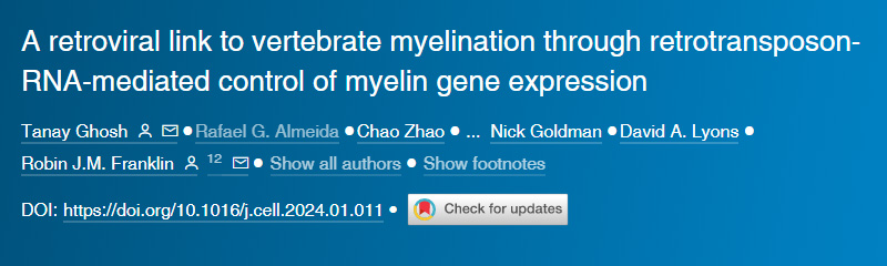 逆轉(zhuǎn)錄病毒通過逆轉(zhuǎn)錄轉(zhuǎn)座子RNA介導的髓鞘基因表達控制與脊椎動物髓鞘形成的聯(lián)系 逆轉(zhuǎn)錄病毒通過逆轉(zhuǎn)錄轉(zhuǎn)座子RNA介導的髓鞘基因表達控制與脊椎動物髓鞘形成的聯(lián)系