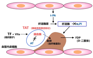  纖溶酶-α2纖溶酶抑制物復合物（PIC）-磁微粒化學發(fā)光法 （吖啶酯）解決方案