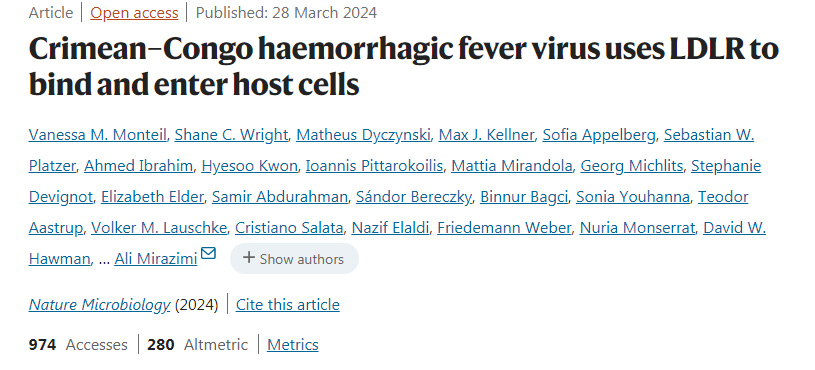 克里米亞-剛果出血熱病毒利用LDLR結(jié)合并進(jìn)入宿主細(xì)胞 克里米亞-剛果出血熱病毒利用LDLR結(jié)合并進(jìn)入宿主細(xì)胞