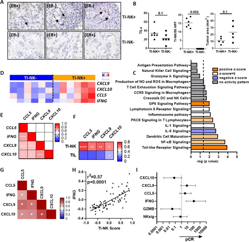 CCL5/IFNG-CXCL9/10軸、TI-NK細(xì)胞標(biāo)記和抗HER2抗體新型輔助治療的反應(yīng)相關(guān)性
