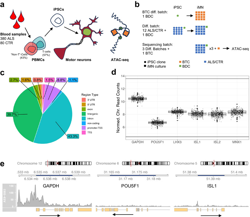 應(yīng)答ALS ATAC序列數(shù)據(jù) 應(yīng)答ALS ATAC序列數(shù)據(jù)