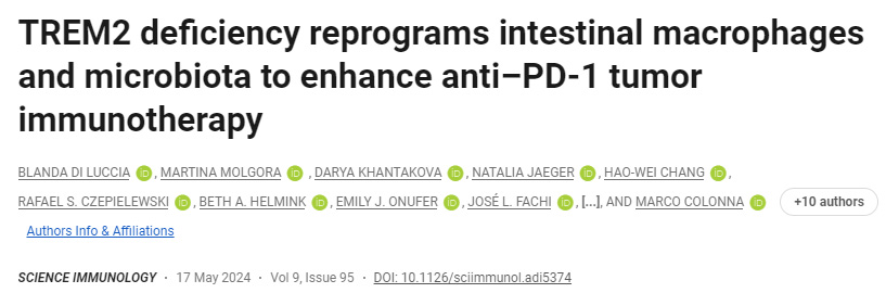 TREM2缺乏重新編程腸道巨噬細胞和微生物群以增強抗PD-1腫瘤免疫療法 TREM2缺乏重新編程腸道巨噬細胞和微生物群以增強抗PD-1腫瘤免疫療法