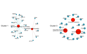 蛋白質(zhì)組學(xué)研究發(fā)現(xiàn)重癥COVID-19的血漿標志物