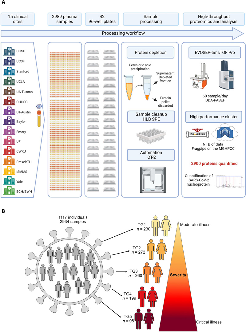 基于高通量LCMS的方法，用于分析數(shù)千個(gè)血漿樣本和隊(duì)列設(shè)計(jì)