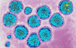 病毒吸收宿主RNA，急性感染可變慢性感染