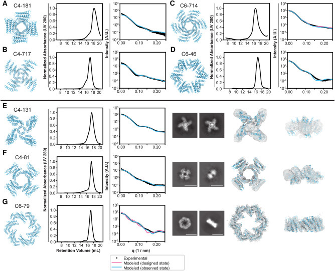設計的蛋白質低聚物的生物物理特性
