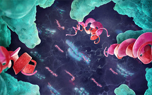 Nature子刊：微生物組模型揭示短鏈脂肪酸的代謝差異