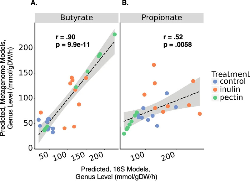 使用16S擴增子測序或鳥槍宏基因組測序數(shù)據(jù)對SCFA產(chǎn)生的預測顯示出一致性 使用16S擴增子測序或鳥槍宏基因組測序數(shù)據(jù)對SCFA產(chǎn)生的預測顯示出一致性