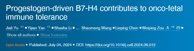 孕激素驅(qū)動(dòng)的B7-H4有助于癌胚免疫耐受 孕激素驅(qū)動(dòng)的B7-H4有助于癌胚免疫耐受