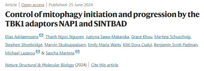 TBK1受體NAP1和SINTBAD對自噬起始和進展的控制
