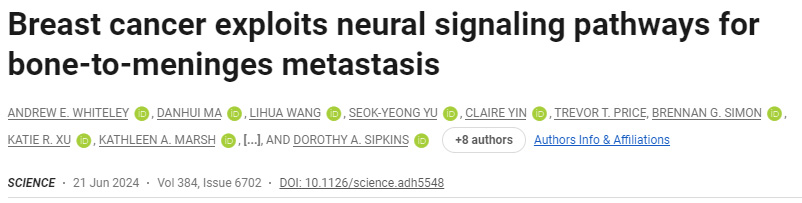 乳腺癌利用神經(jīng)信號通路進(jìn)行骨轉(zhuǎn)移
