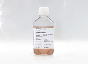 SeeHEK293CD01基礎(chǔ)培養(yǎng)基(液體) SeeHEK293CD01基礎(chǔ)培養(yǎng)基(液體)