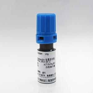 厄他培南鈉/爾他培南鈉